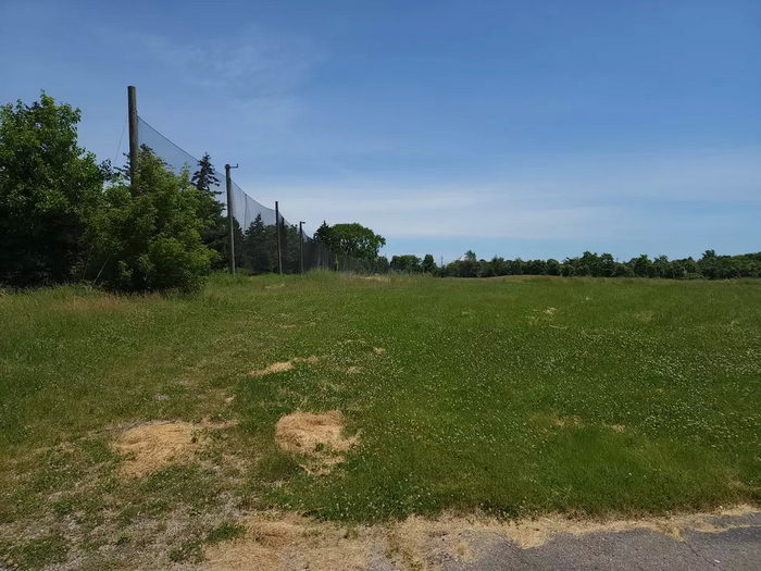 The Jewel of Grand Blanc - From Banana 1015 Radio
